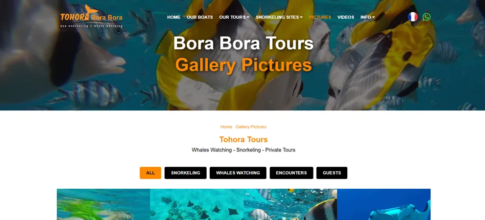 tohora bora bora site web